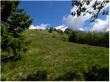 Planina Kuhinja - Planica below Krn